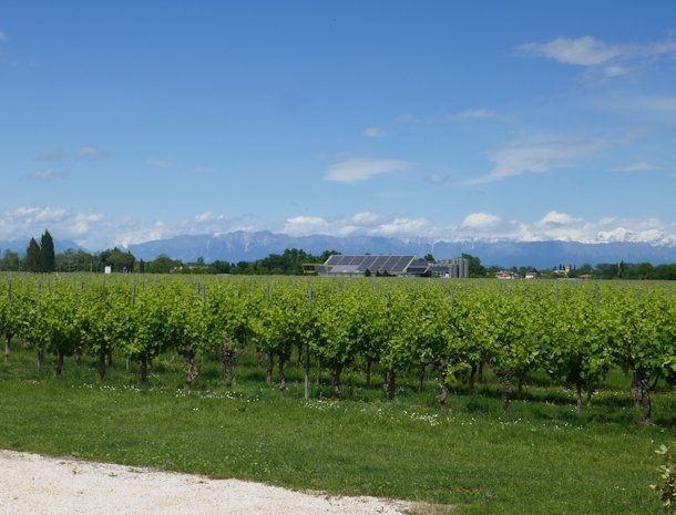 Locanda-Forchir-Camino-al-Tagliamento-Friuli-wijngaarden.jpg