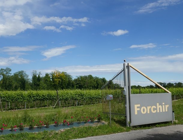 Locanda-Forchir-Camino-al-Tagliamento-Friuli-wijnhuis-forchir.jpg