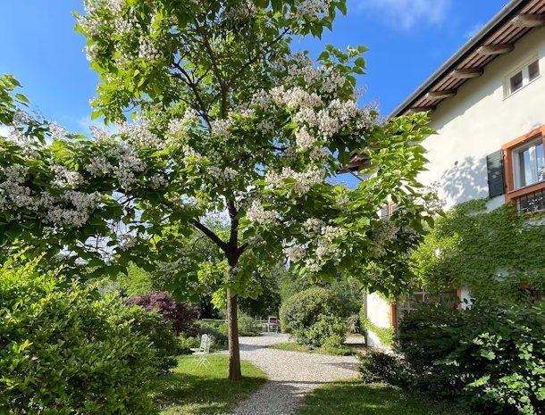 La Collina delle Mignole Friuli bomen.jpg