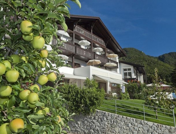 Riedingerhof-Merano-Trentino-appels.jpg